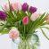 tulipes